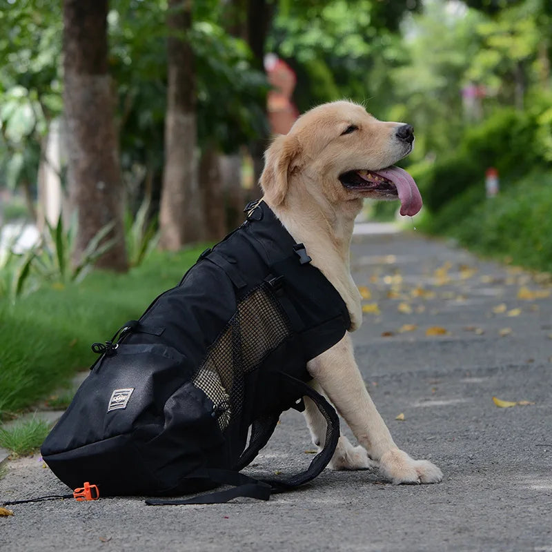 Sac de voyage respirant pour animaux de compagnie